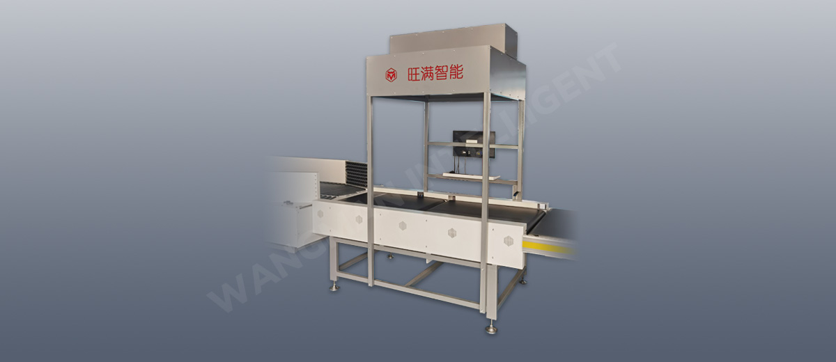 Dynamic DWS System