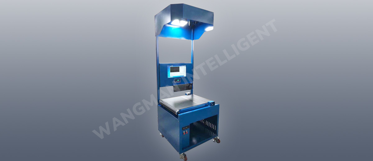 Static DWS System